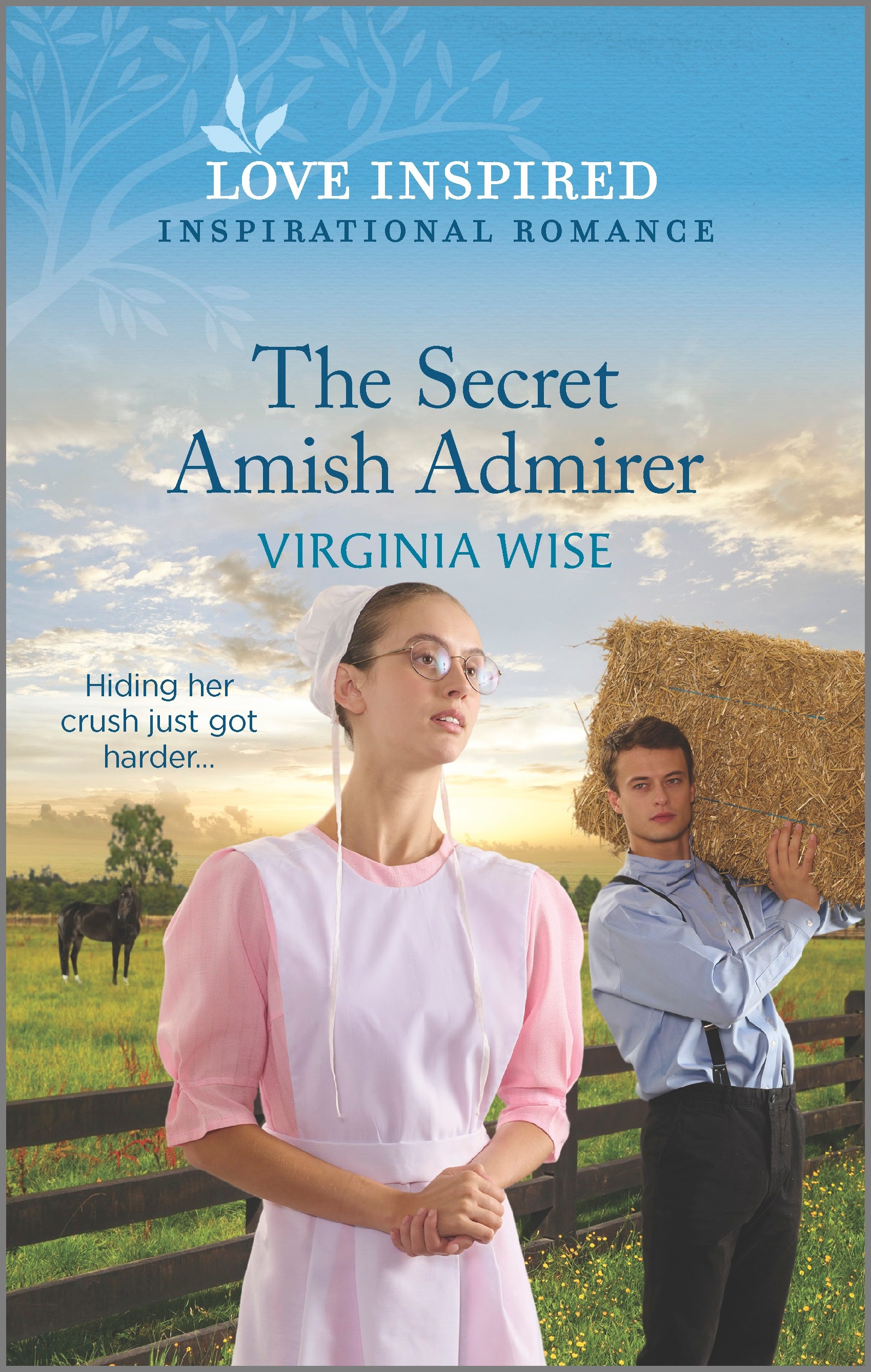 THE SECRET AMISH ADMIRER by Virginia Wise