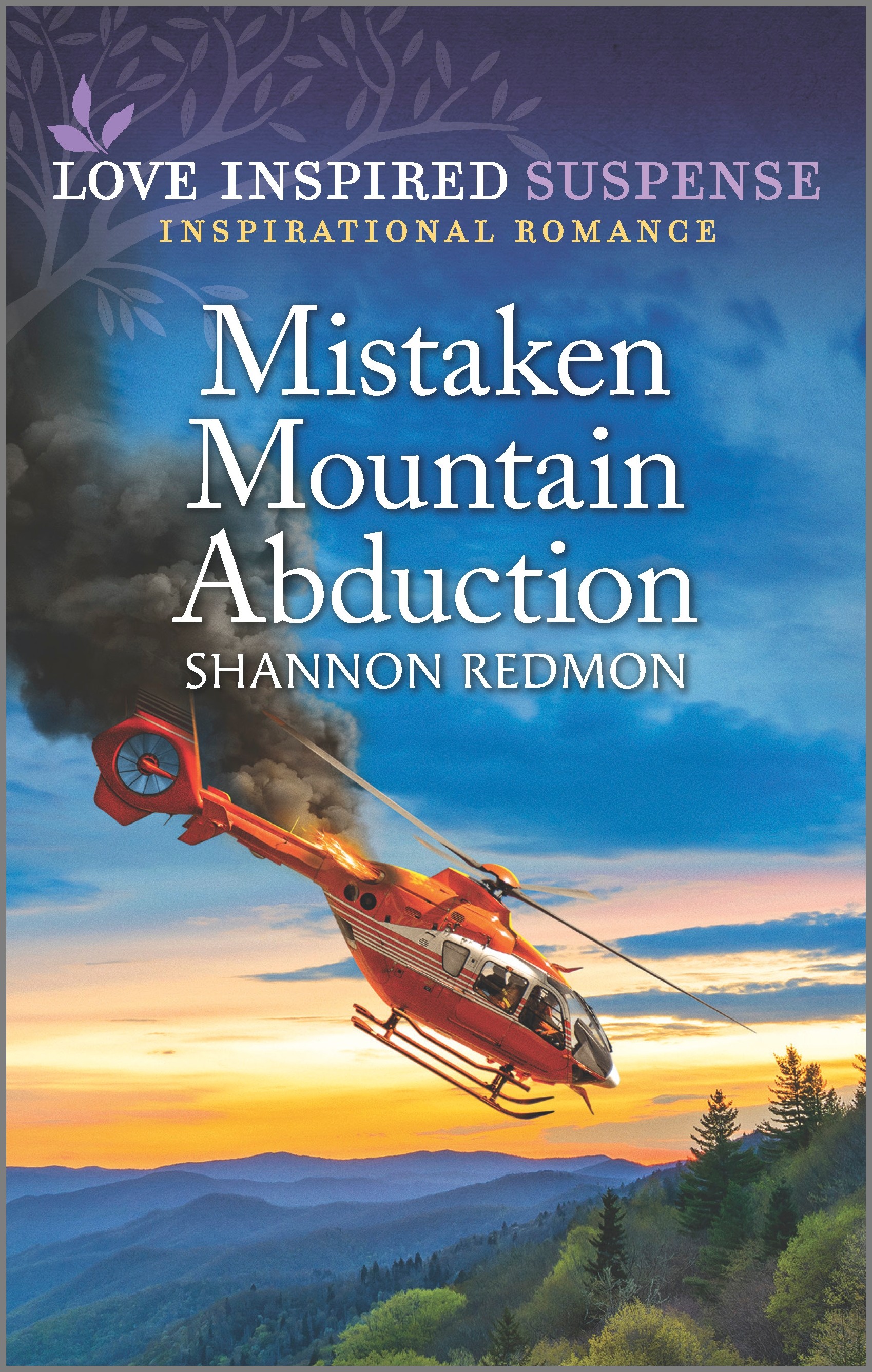 MISTAKEN MOUNTAIN ABDUCTION by Shannon Redman